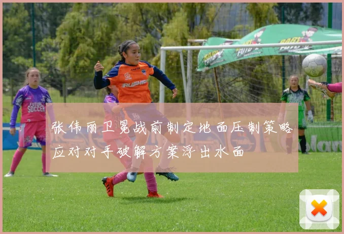 张伟丽卫冕战前制定地面压制策略应对对手破解方案浮出水面