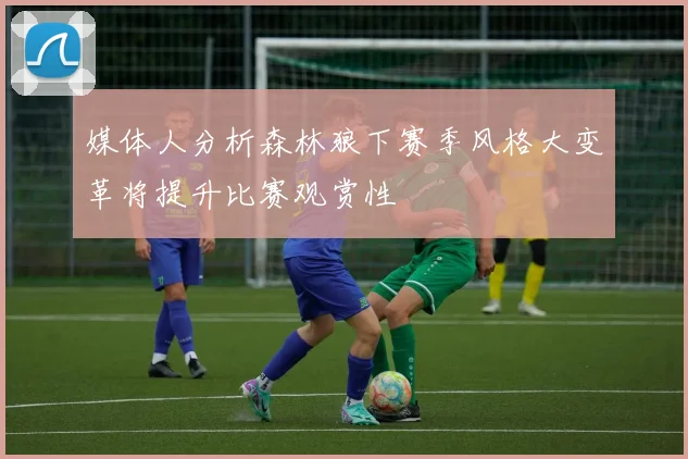 媒体人分析森林狼下赛季风格大变革将提升比赛观赏性